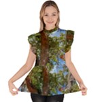 Patagonian Forest Trees Close-up, Rio Negro Province, Patagonia, Argentina Ruffle Collar Short Sleeve Chiffon Top