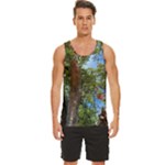 Patagonian Forest Trees Close-up, Rio Negro Province, Patagonia, Argentina Men s Wide Collar Tank Top