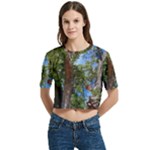 Patagonian Forest Trees Close-up, Rio Negro Province, Patagonia, Argentina Women s Round Neck Short Sleeve Crop Top