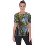 Patagonian Forest Trees Close-up, Rio Negro Province, Patagonia, Argentina Shoulder Cut Out Short Sleeve Top