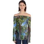 Patagonian Forest Trees Close-up, Rio Negro Province, Patagonia, Argentina Off Shoulder Long Sleeve Top