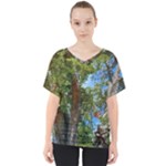 Patagonian Forest Trees Close-up, Rio Negro Province, Patagonia, Argentina V-Neck Dolman Drape Top