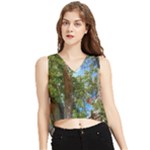 Patagonian Forest Trees Close-up, Rio Negro Province, Patagonia, Argentina V-Neck Cropped Tank Top