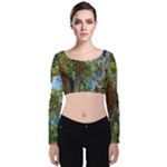 Patagonian Forest Trees Close-up, Rio Negro Province, Patagonia, Argentina Velvet Long Sleeve Crop Top