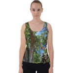 Patagonian Forest Trees Close-up, Rio Negro Province, Patagonia, Argentina Velvet Tank Top