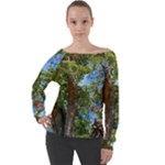 Patagonian Forest Trees Close-up, Rio Negro Province, Patagonia, Argentina Off Shoulder Long Sleeve Velour Top