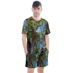 Men s Mesh T-Shirt and Shorts Set 