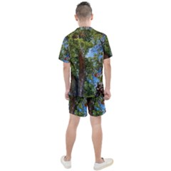 Men s Mesh T-Shirt and Shorts Set 