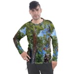 Patagonian Forest Trees Close-up, Rio Negro Province, Patagonia, Argentina Men s Pique Long Sleeve T-Shirt