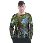 Patagonian Forest Trees Close-up, Rio Negro Province, Patagonia, Argentina Men s Long Sleeve Raglan T-Shirt