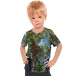 Patagonian Forest Trees Close-up, Rio Negro Province, Patagonia, Argentina Kids  Sports T-Shirt