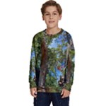 Patagonian Forest Trees Close-up, Rio Negro Province, Patagonia, Argentina Kids  Crewneck Sweatshirt