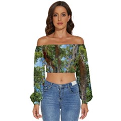 Long Sleeve Crinkled Weave Crop Top 