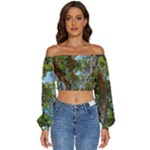 Patagonian Forest Trees Close-up, Rio Negro Province, Patagonia, Argentina Long Sleeve Crinkled Weave Crop Top