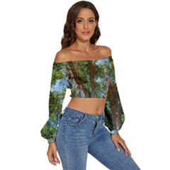 Long Sleeve Crinkled Weave Crop Top 