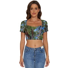 Short Sleeve Square Neckline Crop Top  