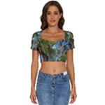 Patagonian Forest Trees Close-up, Rio Negro Province, Patagonia, Argentina Short Sleeve Square Neckline Crop Top 