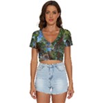 Patagonian Forest Trees Close-up, Rio Negro Province, Patagonia, Argentina V-Neck Crop Top