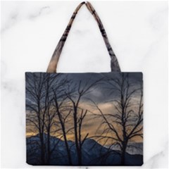 Mini Tote Bag 