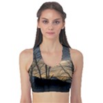 Tree Silhouette At Border Of Nahuel Haupi Lake, Rio Negro, Argentina Fitness Sports Bra