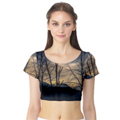 Short Sleeve Crop Top 