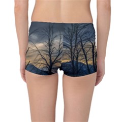 Reversible Boyleg Bikini Bottoms Outside Back