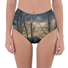 Reversible High-Waist Bikini Bottoms 