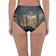 Reversible High-Waist Bikini Bottoms 