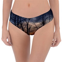 Reversible Classic Bikini Bottoms 