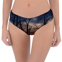 Reversible Classic Bikini Bottoms 