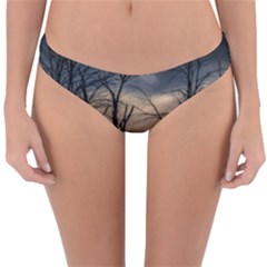 Reversible Hipster Bikini Bottoms 