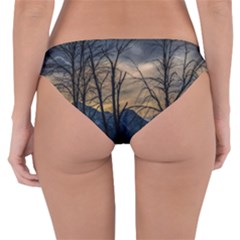 Reversible Hipster Bikini Bottoms 