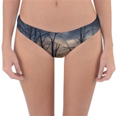 Reversible Hipster Bikini Bottoms 