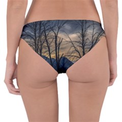 Reversible Hipster Bikini Bottoms 