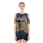 Tree Silhouette At Border Of Nahuel Haupi Lake, Rio Negro, Argentina Shoulder Cutout One Piece Dress