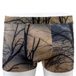 Tree Silhouette At Border Of Nahuel Haupi Lake, Rio Negro, Argentina Men s Boxer Briefs