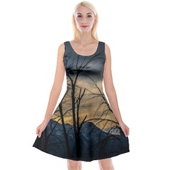 Reversible Velvet Sleeveless Dress 