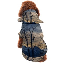 Dog Coat 