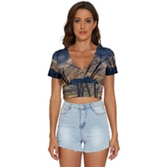 V-Neck Crop Top 