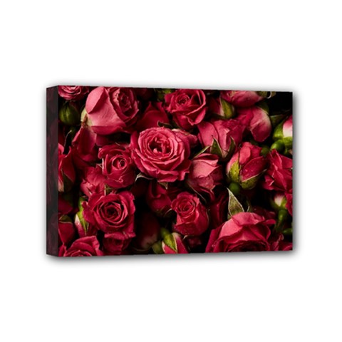 Floral Buds Of Roses Beautiful Flowers Mini Canvas 6  x 4  (Stretched) from ArtsNow.com