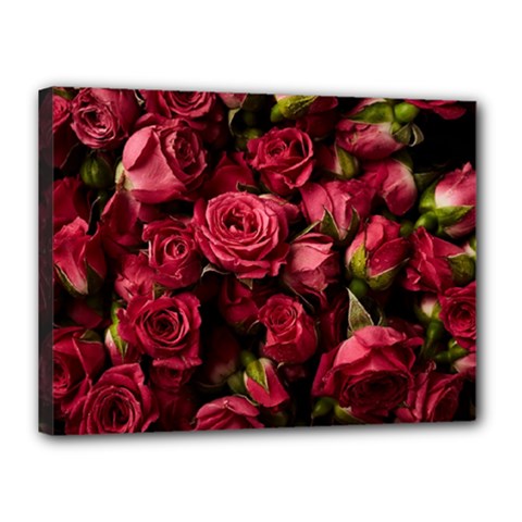 Floral Buds Of Roses Beautiful Flowers Canvas 16  x 12  (Stretched) from ArtsNow.com