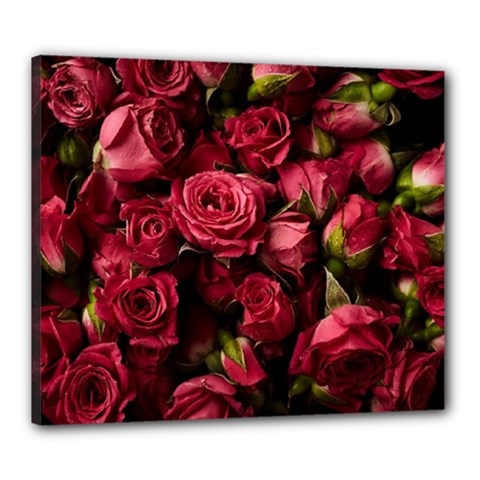 Floral Buds Of Roses Beautiful Flowers Canvas 24  x 20  (Stretched) from ArtsNow.com