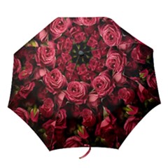 Folding Umbrella 