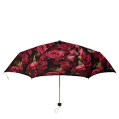 Folding Umbrella 