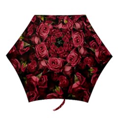 Mini Folding Umbrella 