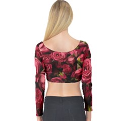 Long Sleeve Crop Top 