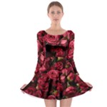 Floral Buds Of Roses Beautiful Flowers Long Sleeve Skater Dress