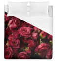 Duvet Cover (Queen Size) 