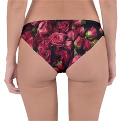 Reversible Hipster Bikini Bottoms 