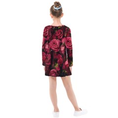 Kids  Long Sleeve Dress 